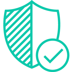 Cyber Security Consultancy